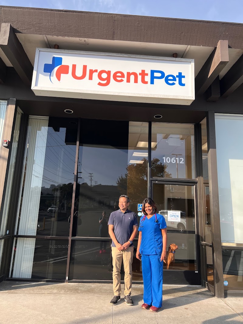 Urgent Pet
