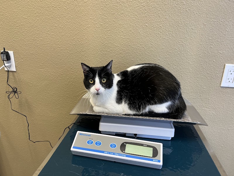 Urgent Pet