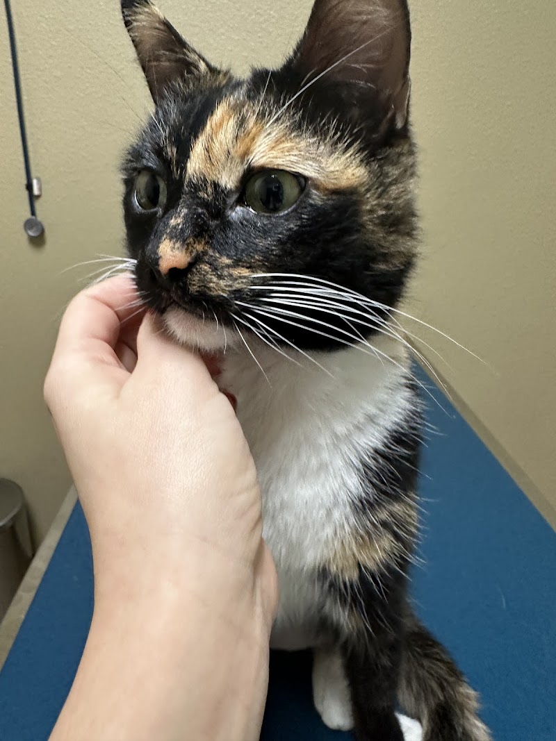 Urgent Pet