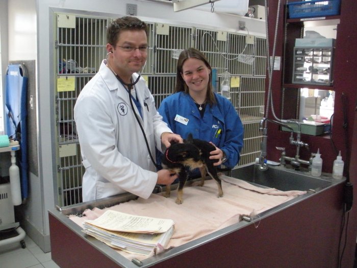 VCA Southwest Freeway Animal Hospital