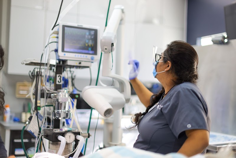 VCA Southwest Freeway Animal Hospital