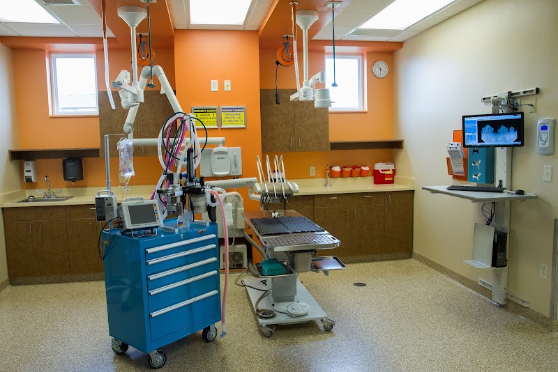 The Meadows Veterinary Center