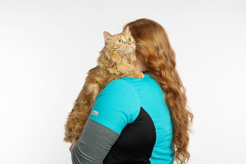 The Meadows Veterinary Center