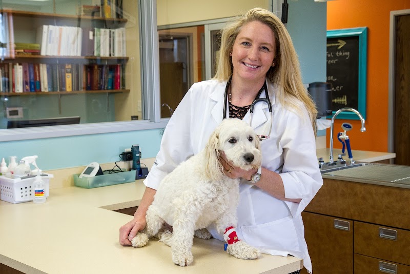 The Meadows Veterinary Center