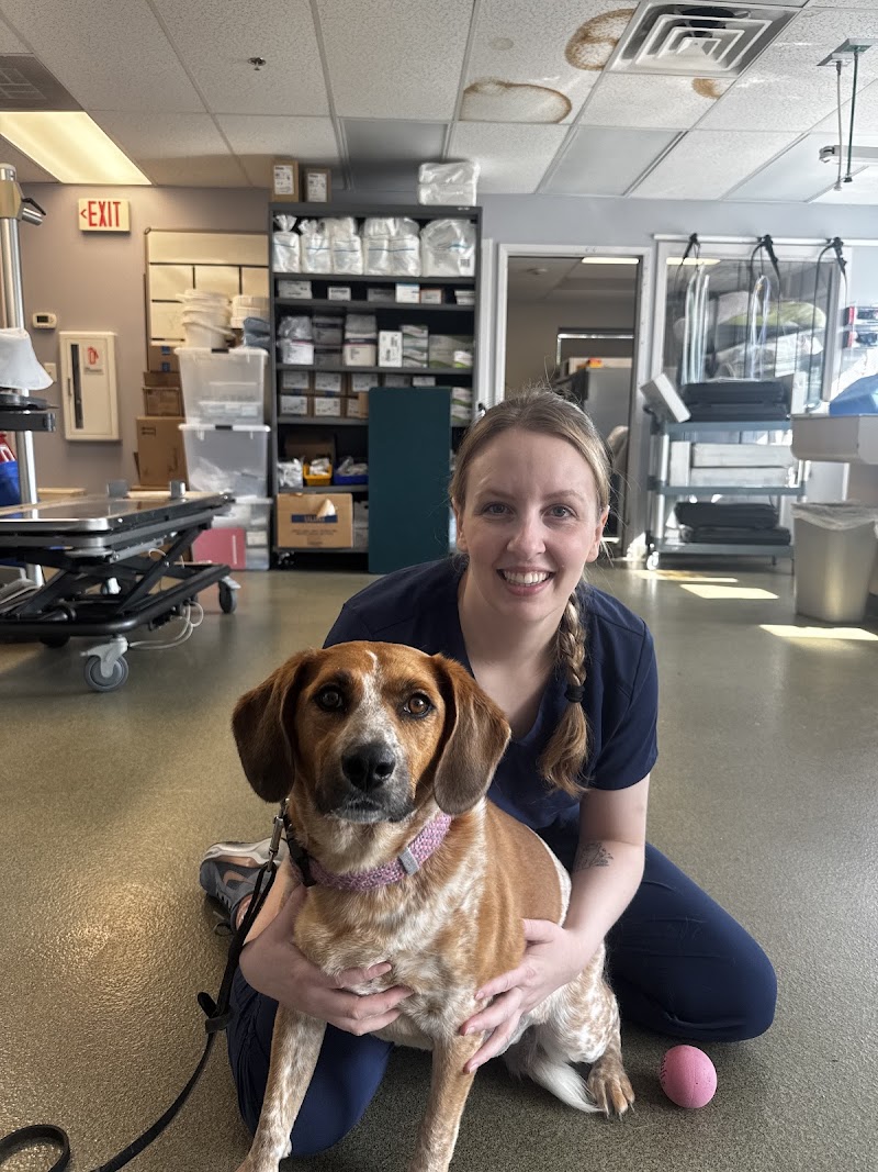 Ally Veterinary Specialty Center