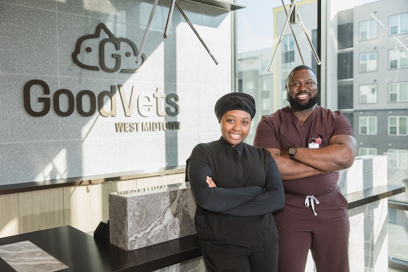 GoodVets West Midtown