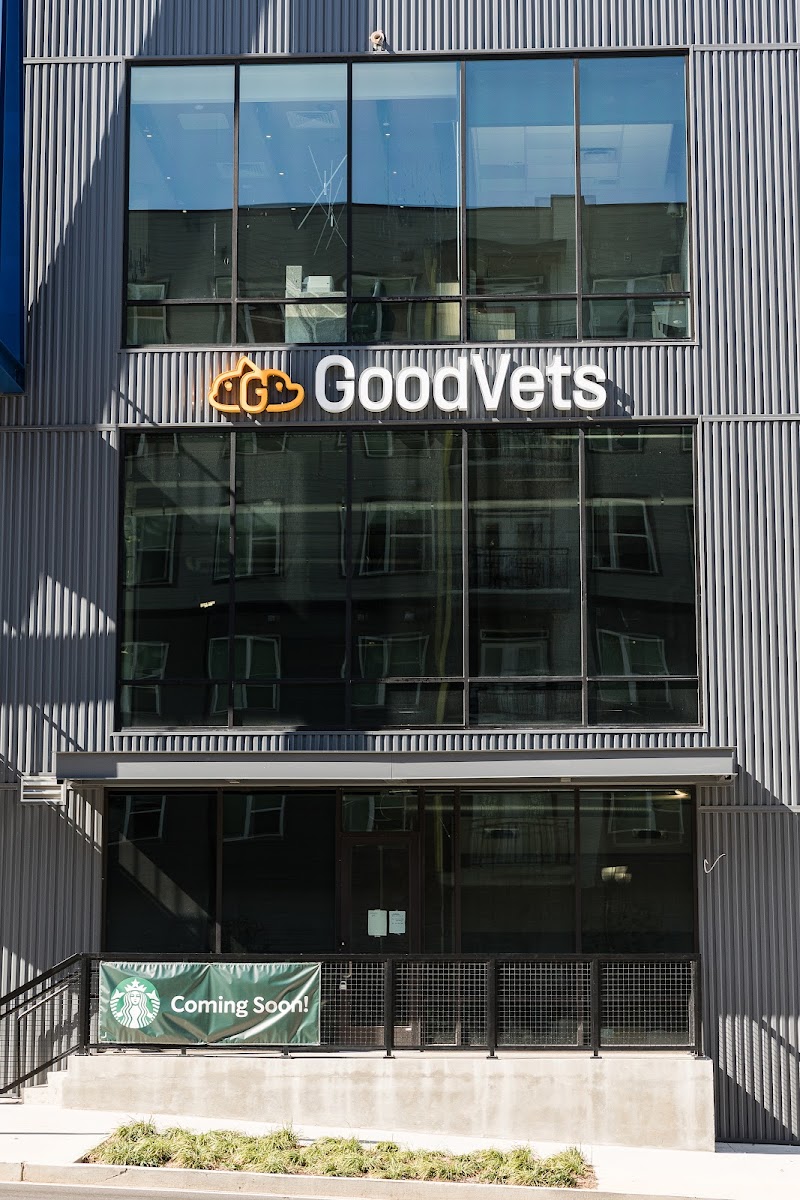 GoodVets West Midtown