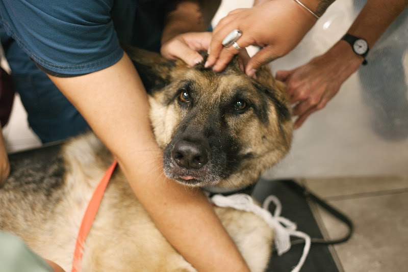 The Grand Lake Veterinary Hospital