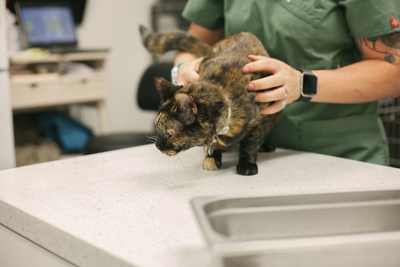 The Grand Lake Veterinary Hospital