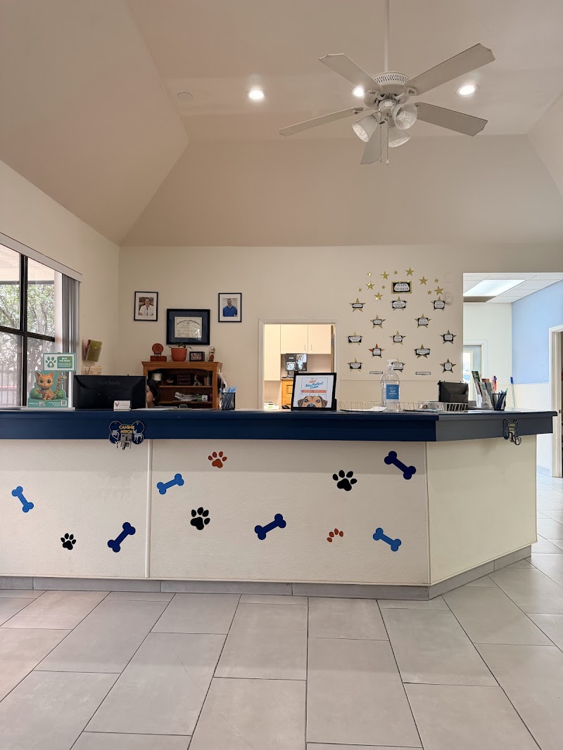 Texas Veterinary Hospital