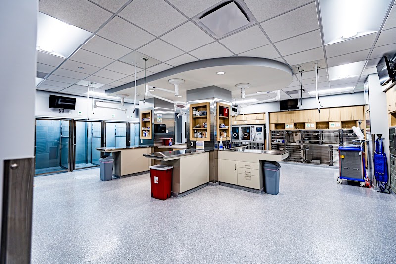 Veterinary Surgical Center of Long Island
