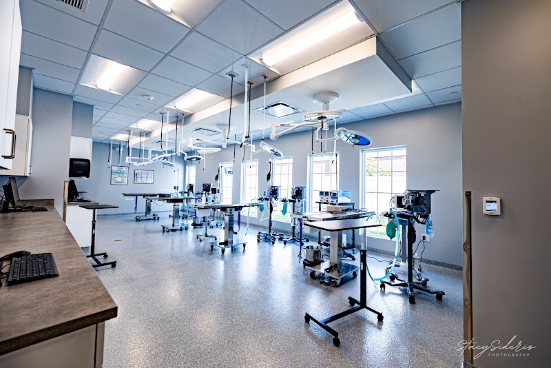 Veterinary Surgical Center of Long Island