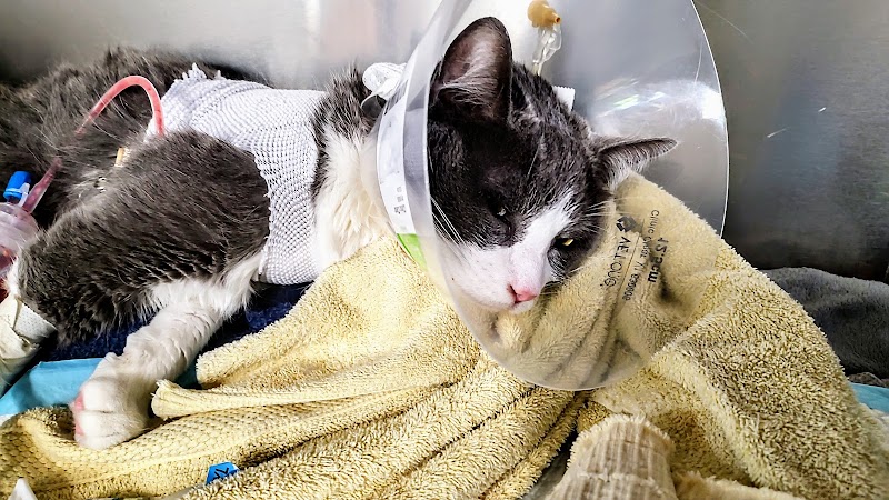 SAGE Veterinary Centers - San Francisco