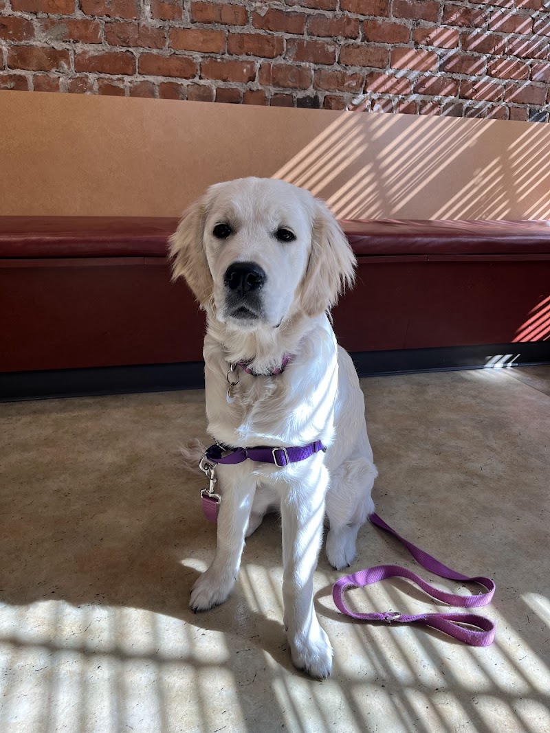 SAGE Veterinary Centers - San Francisco