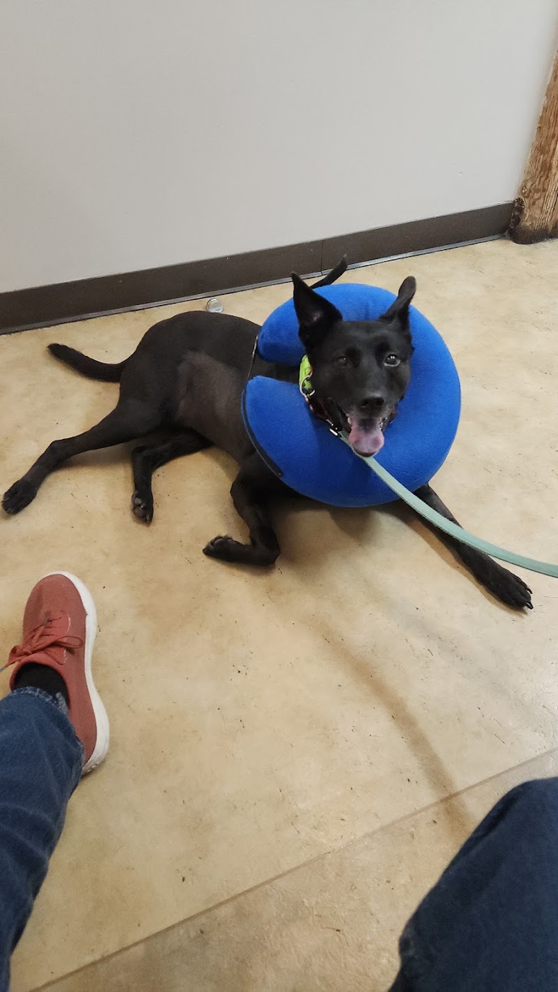 SAGE Veterinary Centers - San Francisco