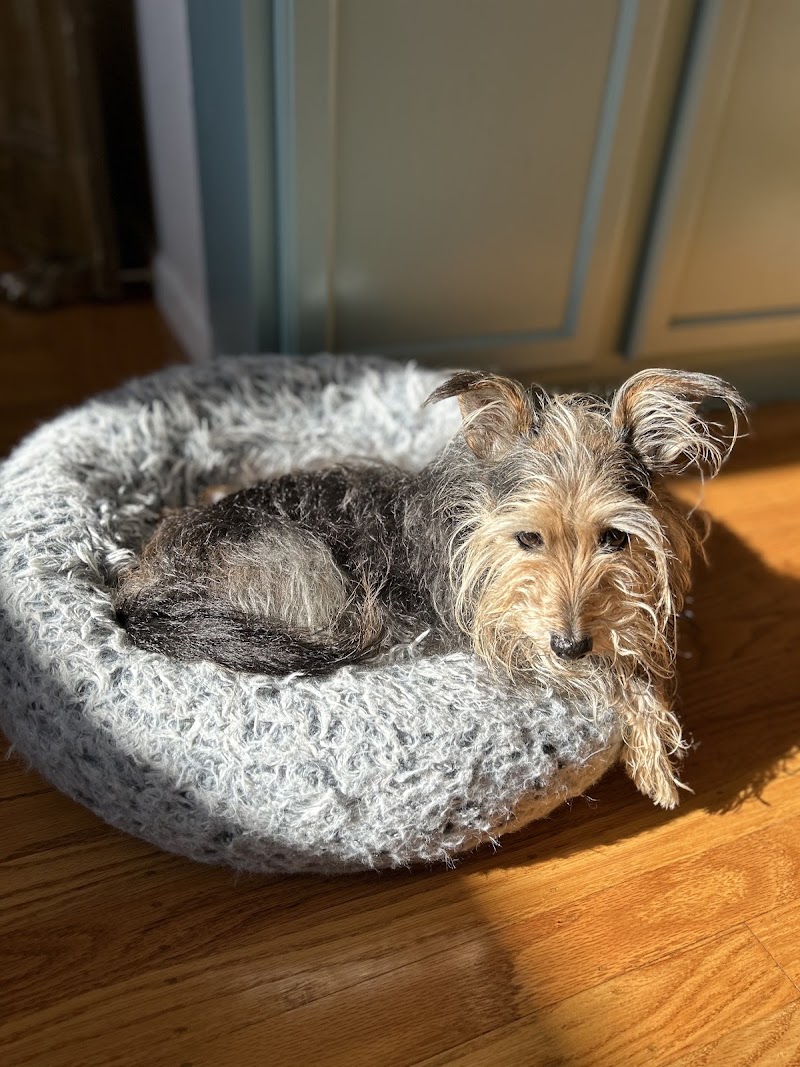 SAGE Veterinary Centers - San Francisco