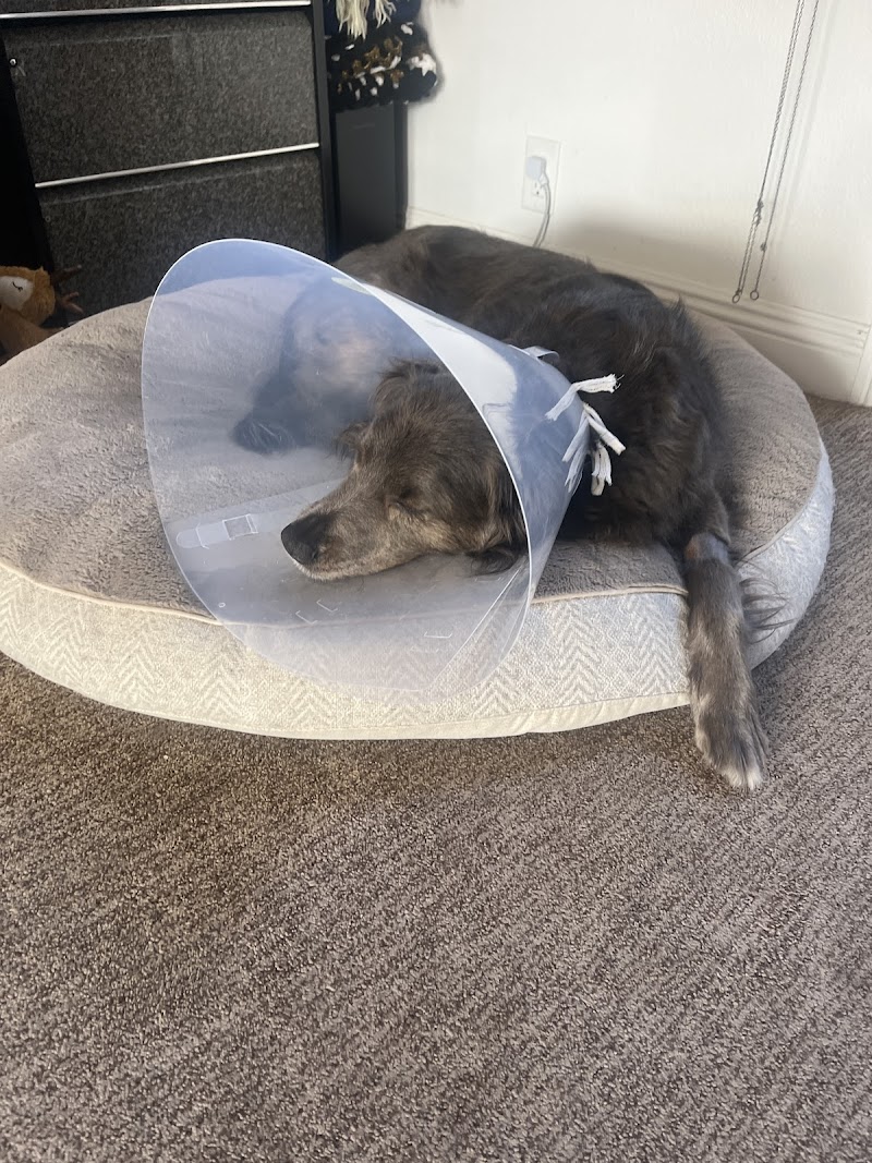 SAGE Veterinary Centers - San Francisco