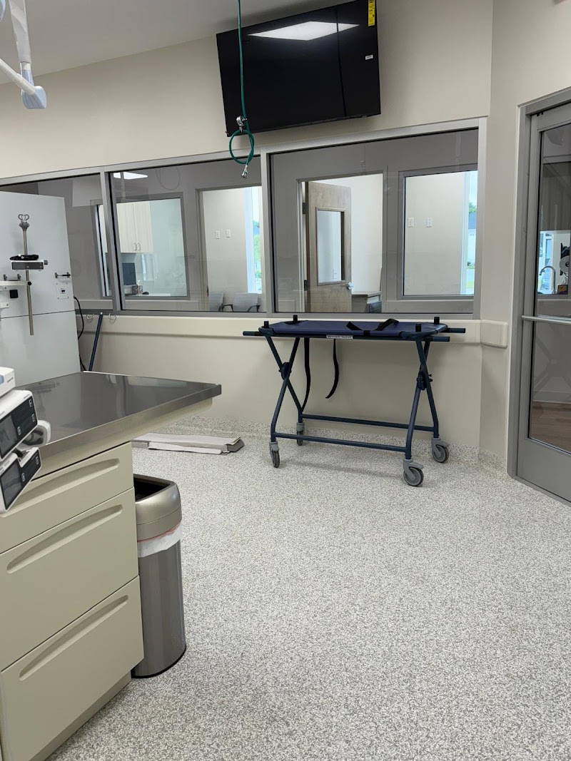 Revive Veterinary Emergency and Specialty Hospital