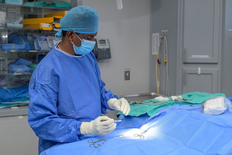 Revive Veterinary Emergency and Specialty Hospital