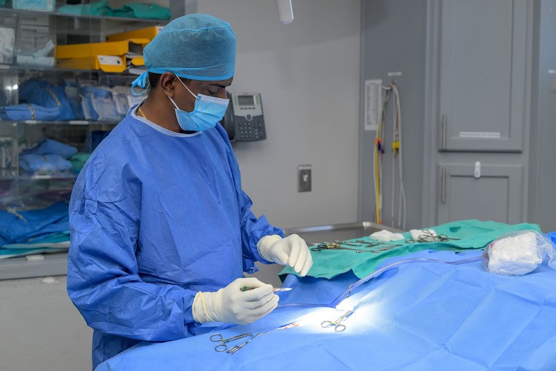 Revive Veterinary Emergency and Specialty Hospital