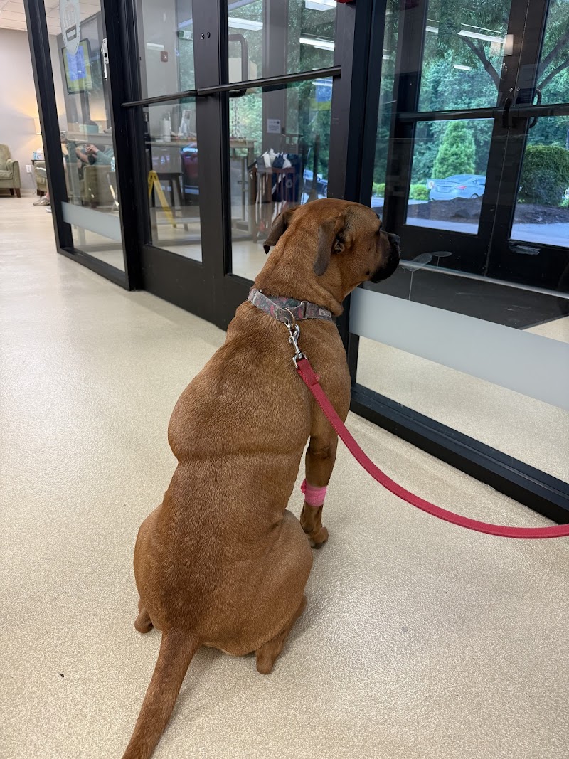 CARE | Charlotte Animal Referral & Emergency