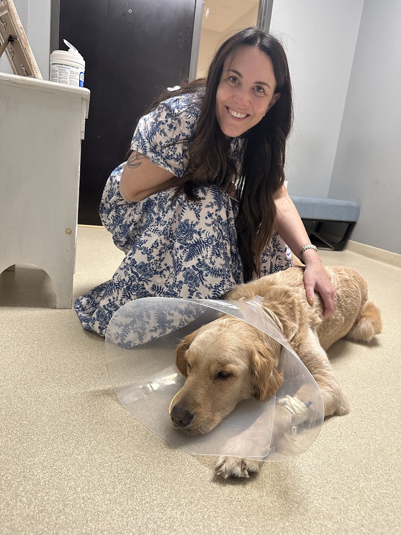 CARE | Charlotte Animal Referral & Emergency