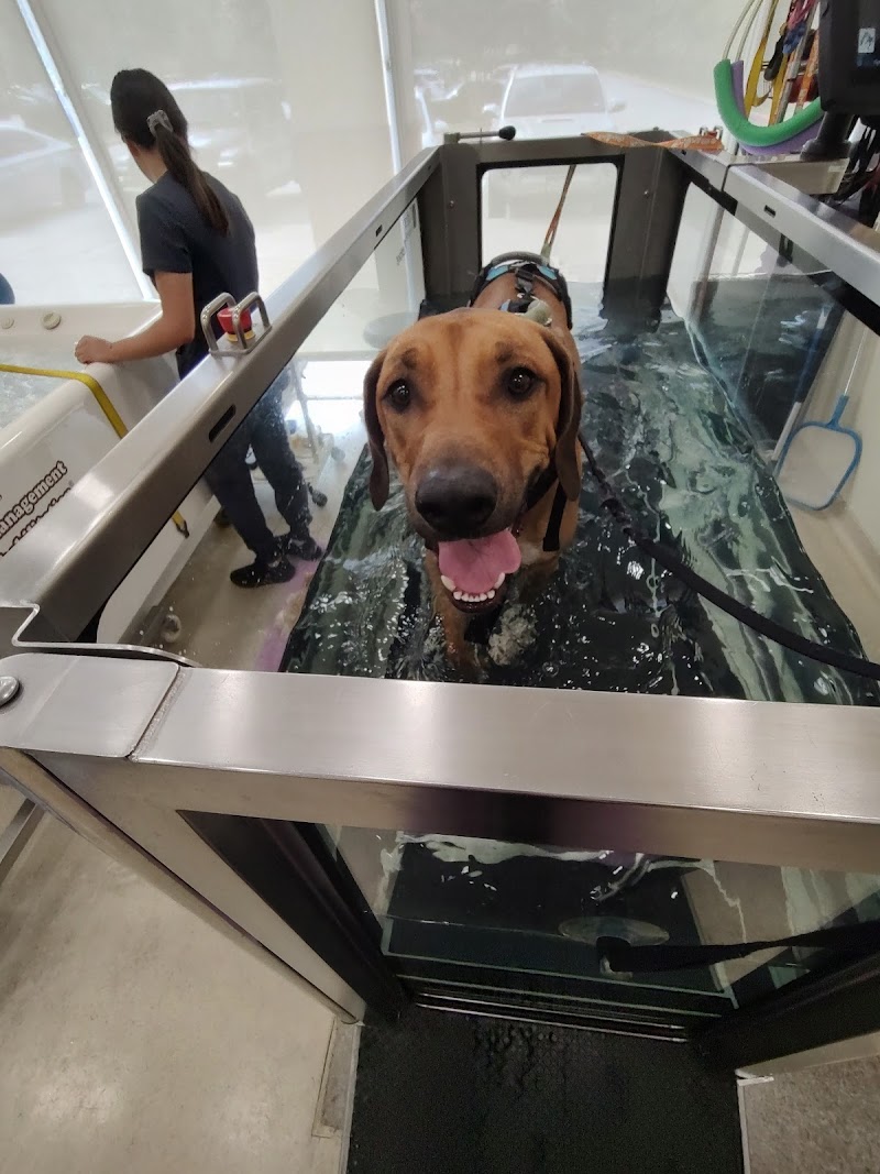 Center for Veterinary Pain Management and Rehabilitation