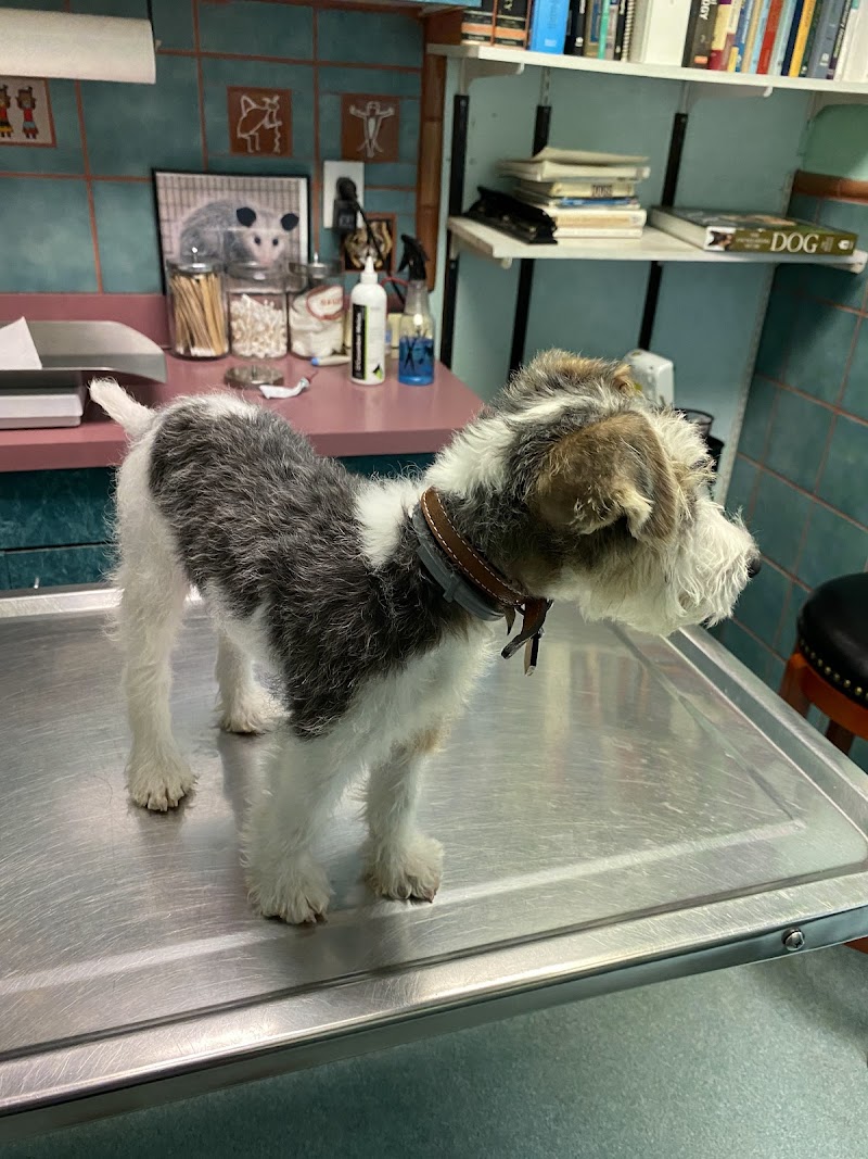 Santa Monica Veterinary Group