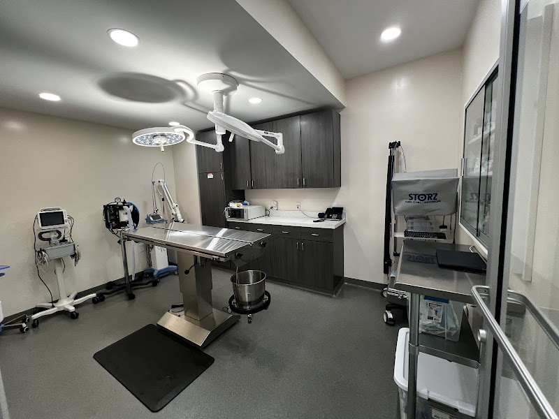 Santa Monica Veterinary Group