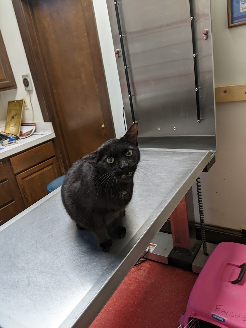 O'Neal Animal Hospital