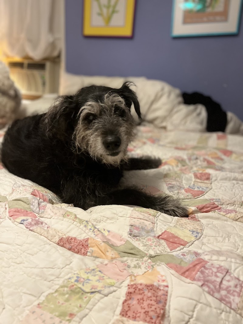 Gladwyne Animal Hospital