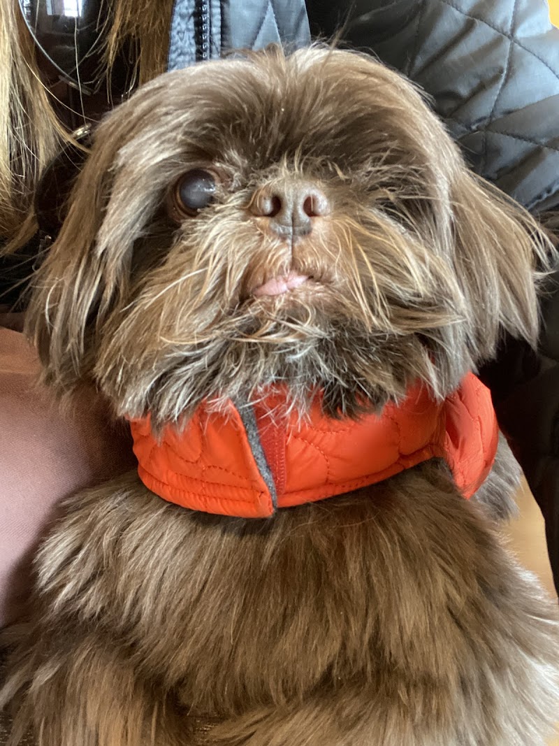 Gladwyne Animal Hospital