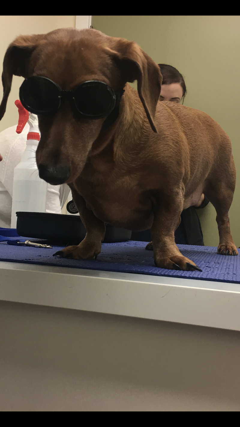Gladwyne Animal Hospital
