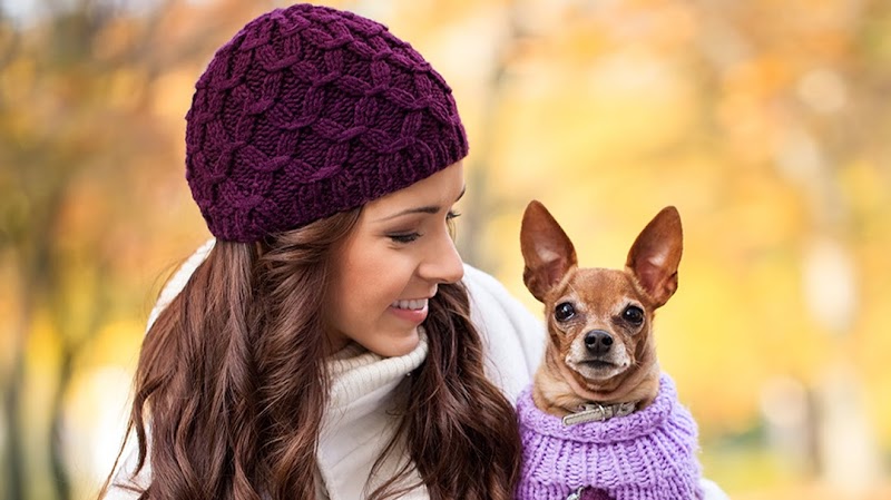 Pet Care Animal Hospital