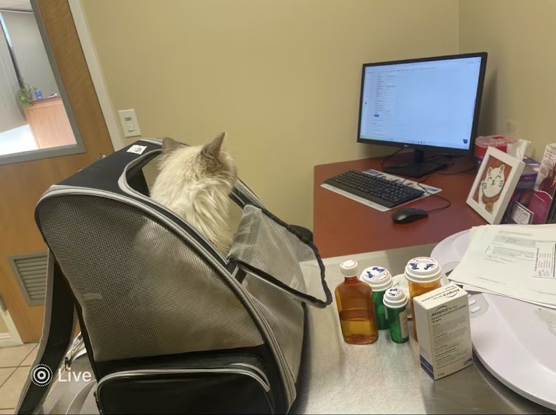 Pet Care Animal Hospital