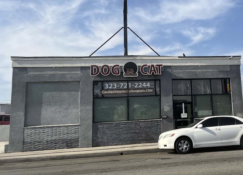 Dog and Cat Hospital Calabasas