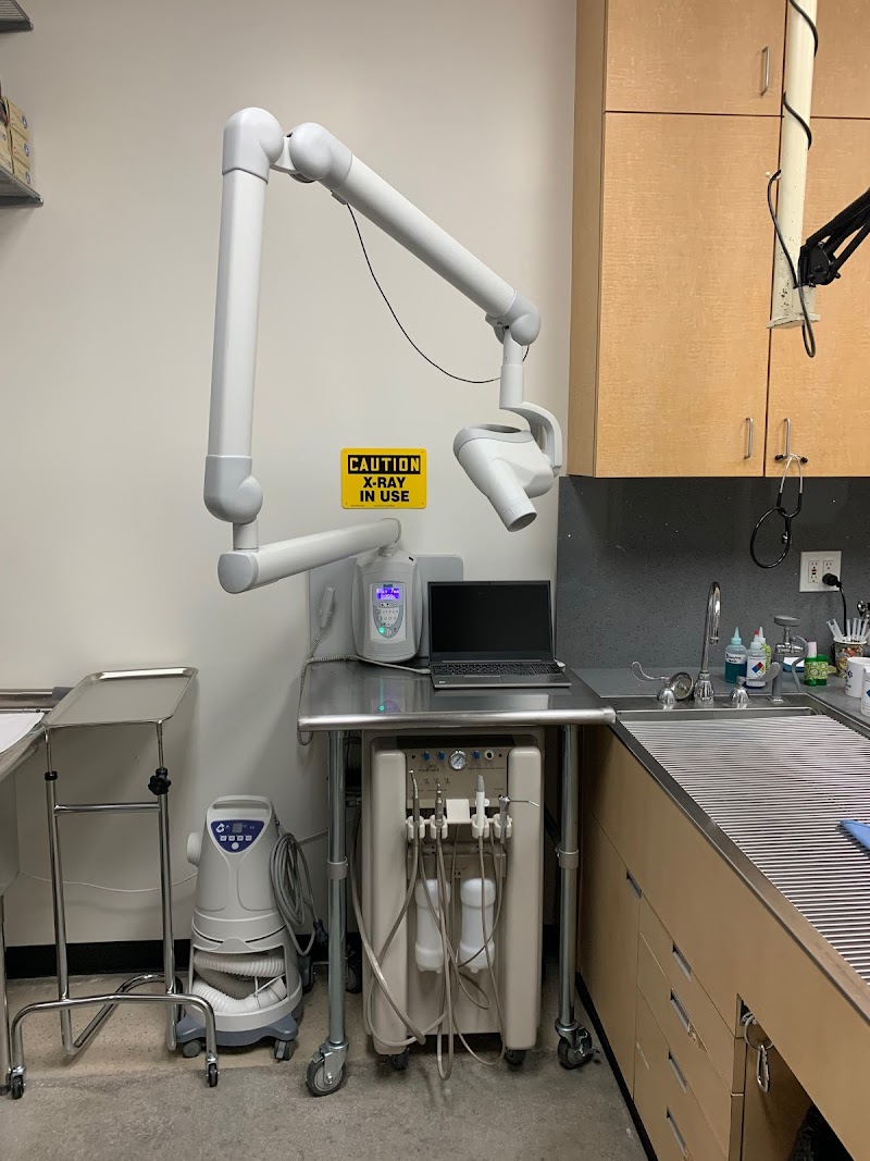 Dog and Cat Hospital Calabasas