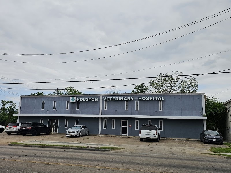 Houston Veterinary Hospital