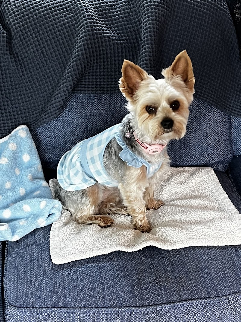 Pender Veterinary Centre - Fairfax (24/7 Emergency)