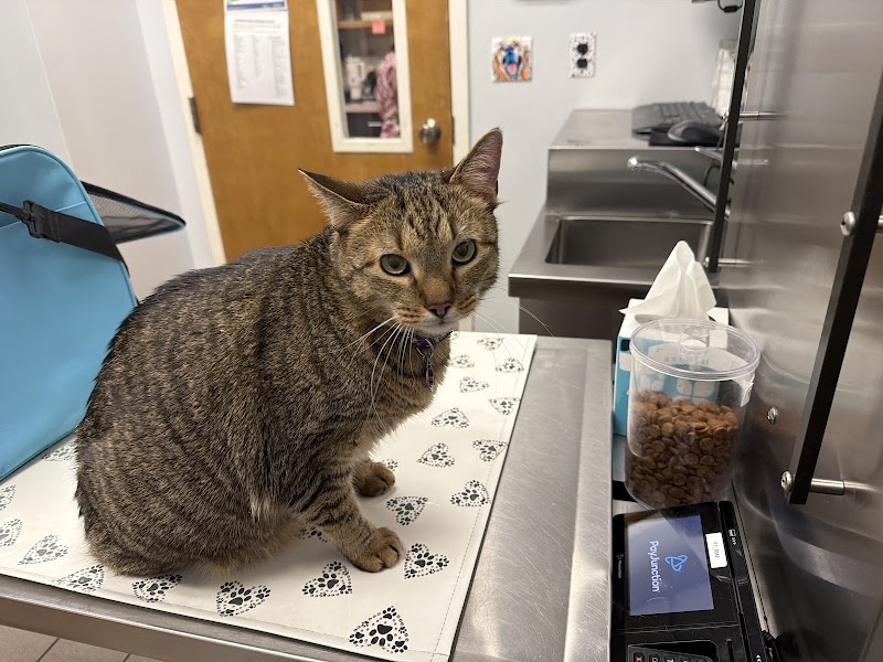 Pender Veterinary Centre - Fairfax (24/7 Emergency)