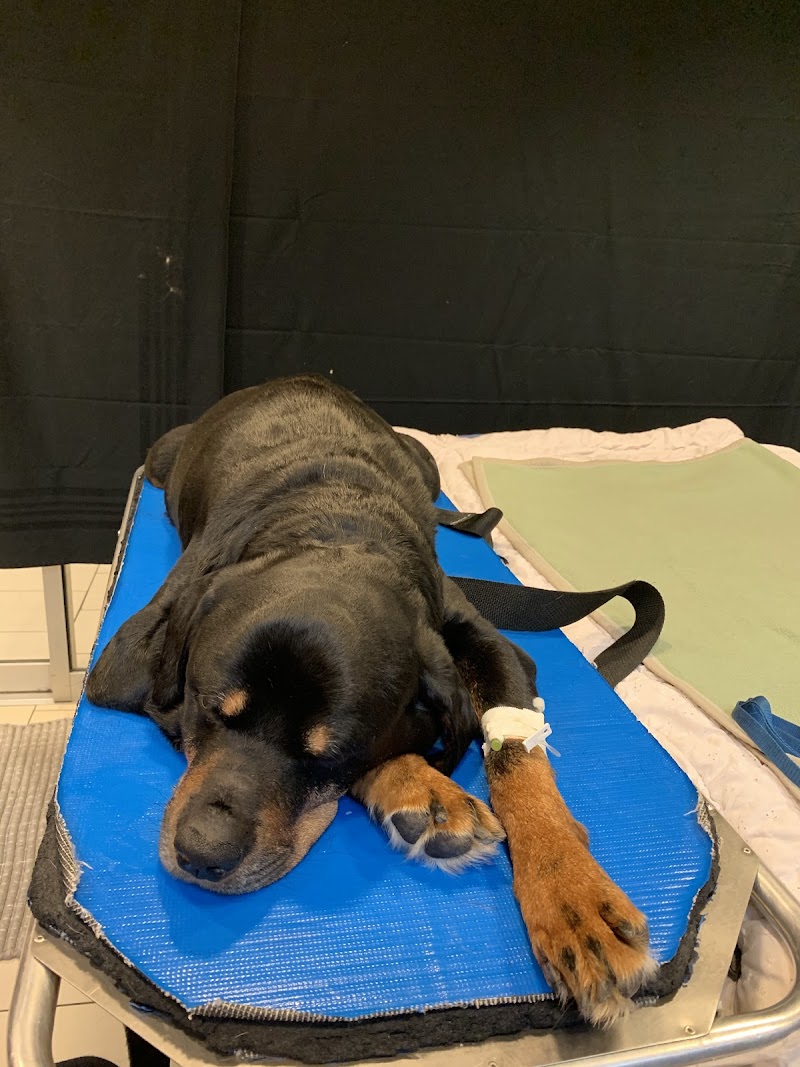 Pender Veterinary Centre - Fairfax (24/7 Emergency)