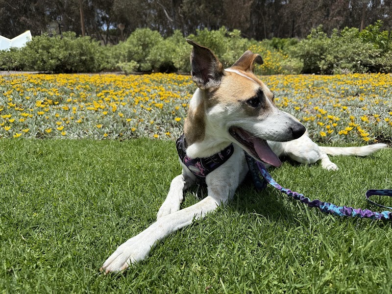 Rancho San Carlos Pet Clinic