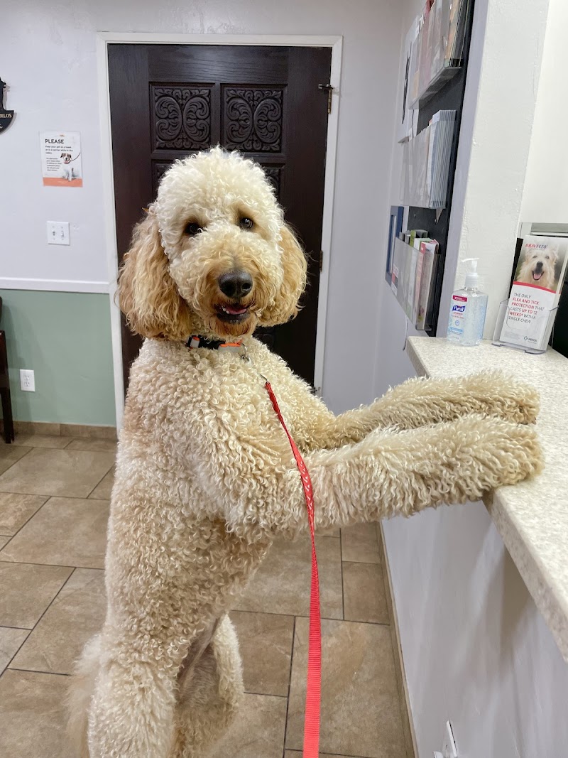 Rancho San Carlos Pet Clinic