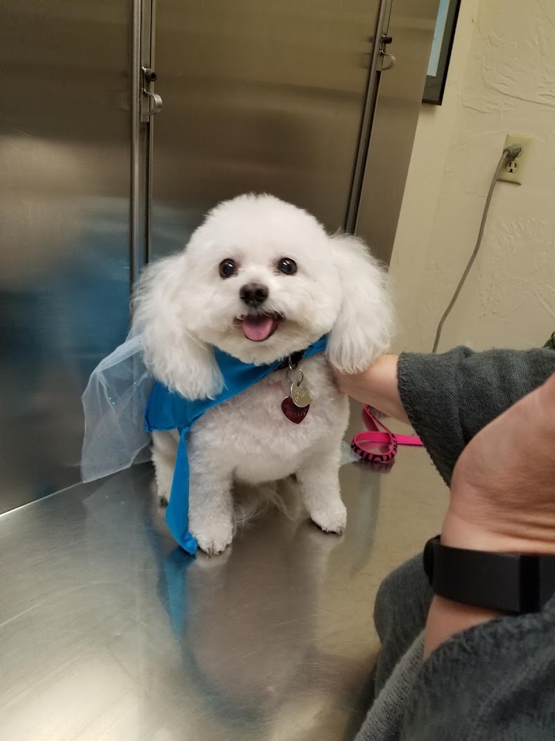 Midway Road Animal Clinic