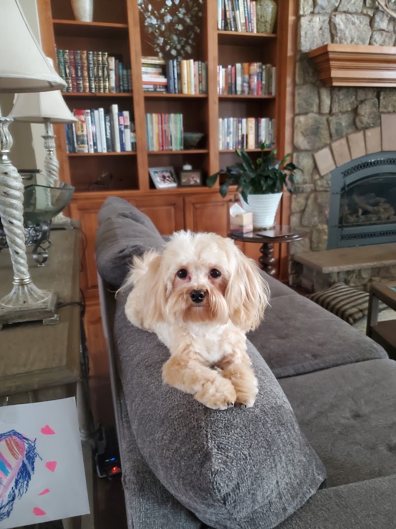Valley View Animal Hospital