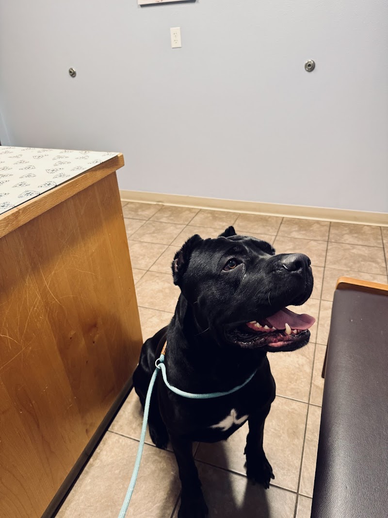 Valley View Animal Hospital