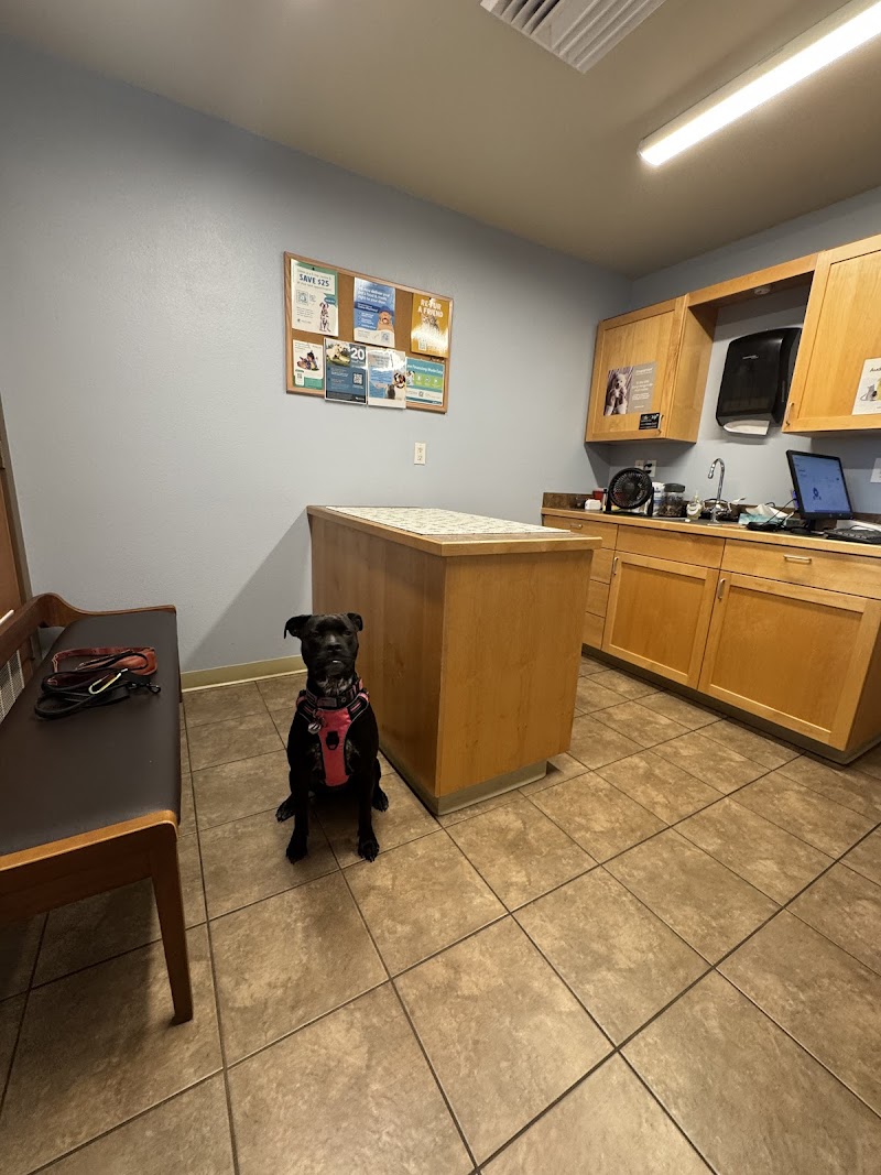 Valley View Animal Hospital