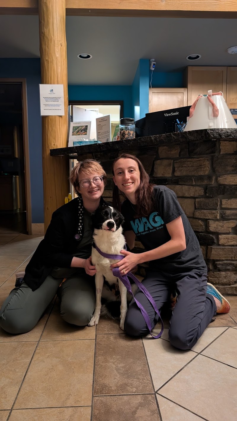 Valley View Animal Hospital