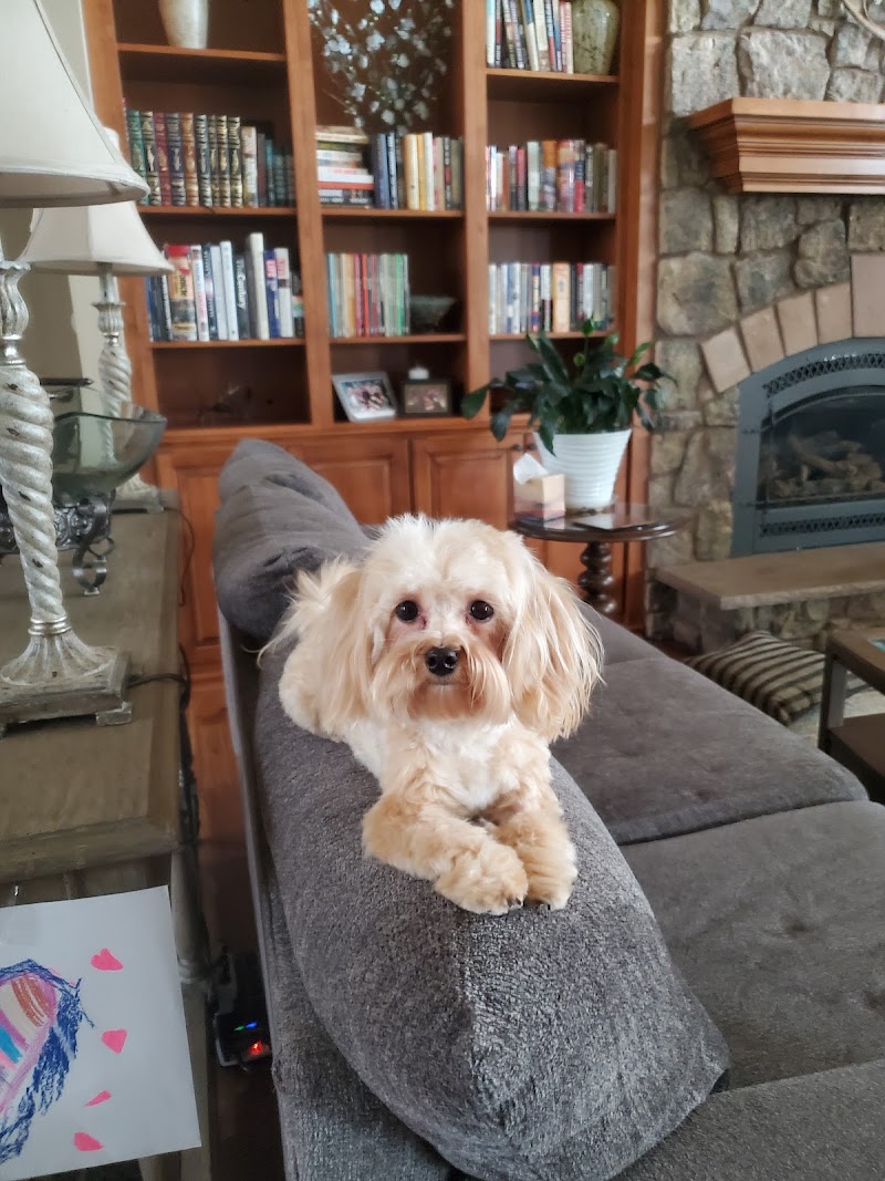 Valley View Animal Hospital