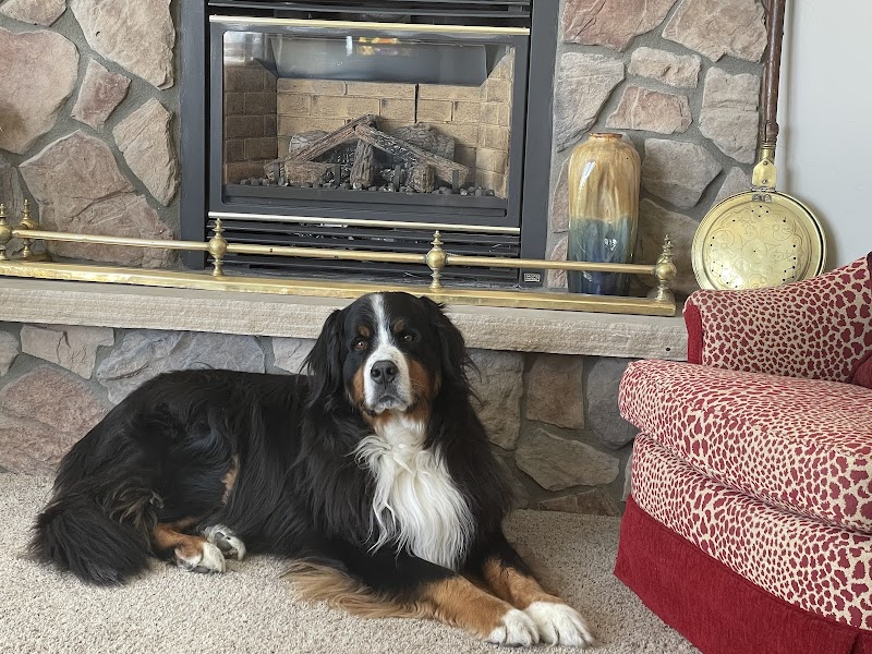 Valley View Animal Hospital